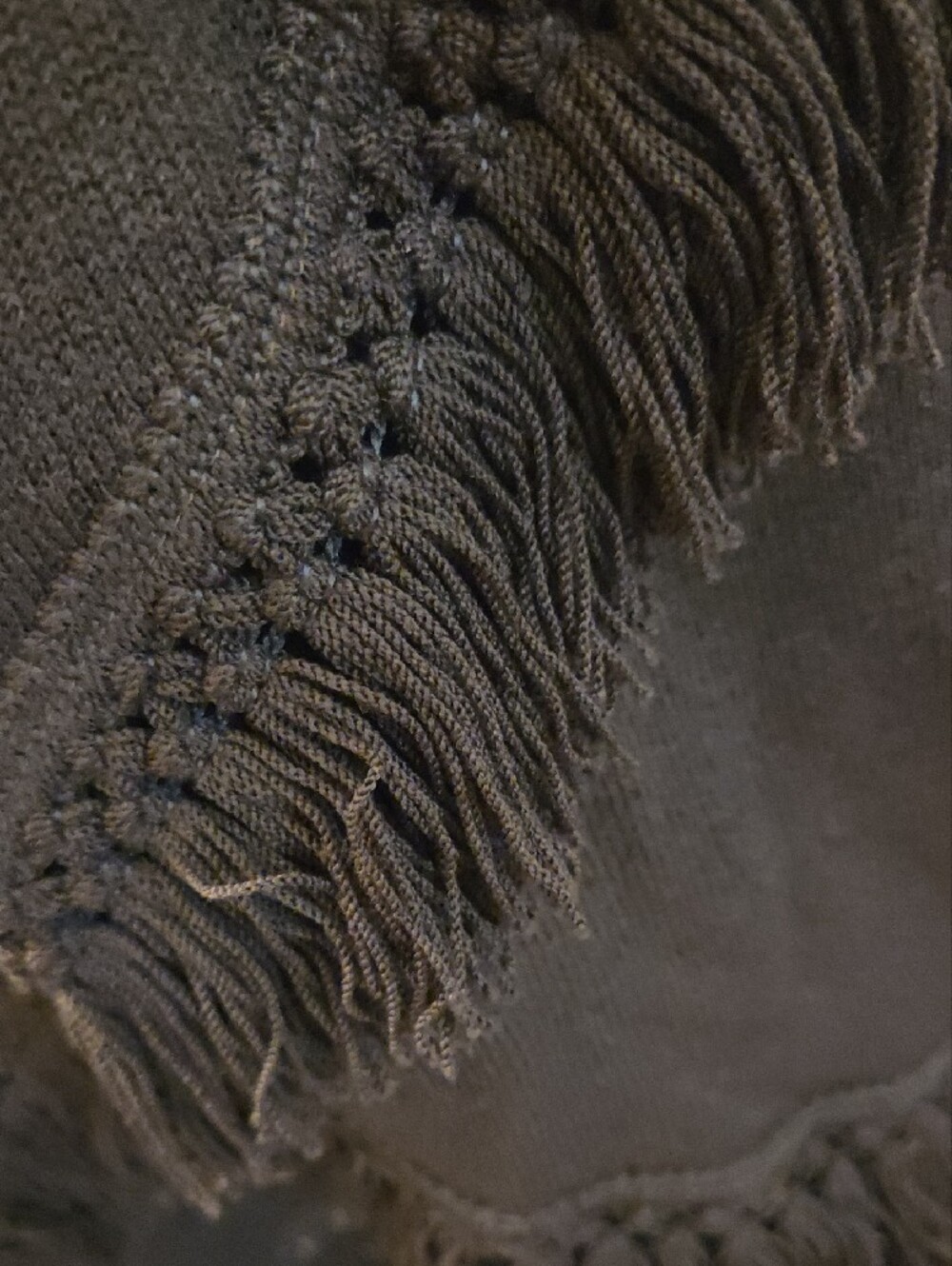 St. John Dark Brown Fringe-Trim Maxi Skirt - Picture 5 of 5
